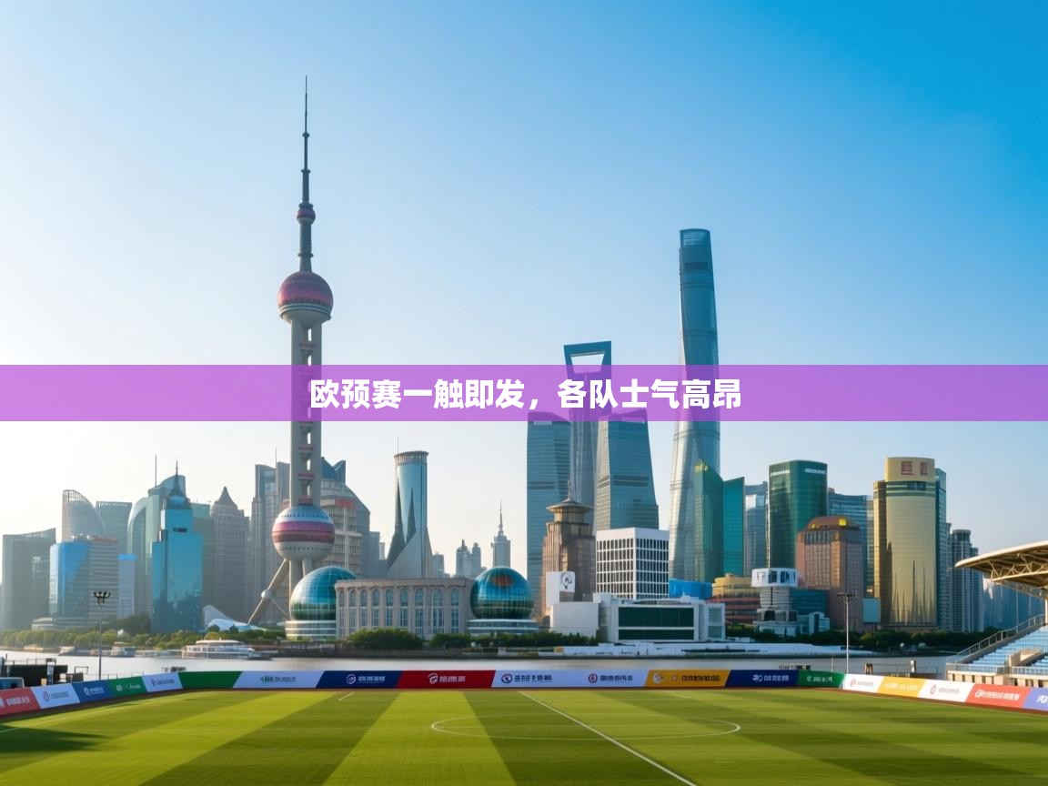 欧预赛一触即发，各队士气高昂  第1张