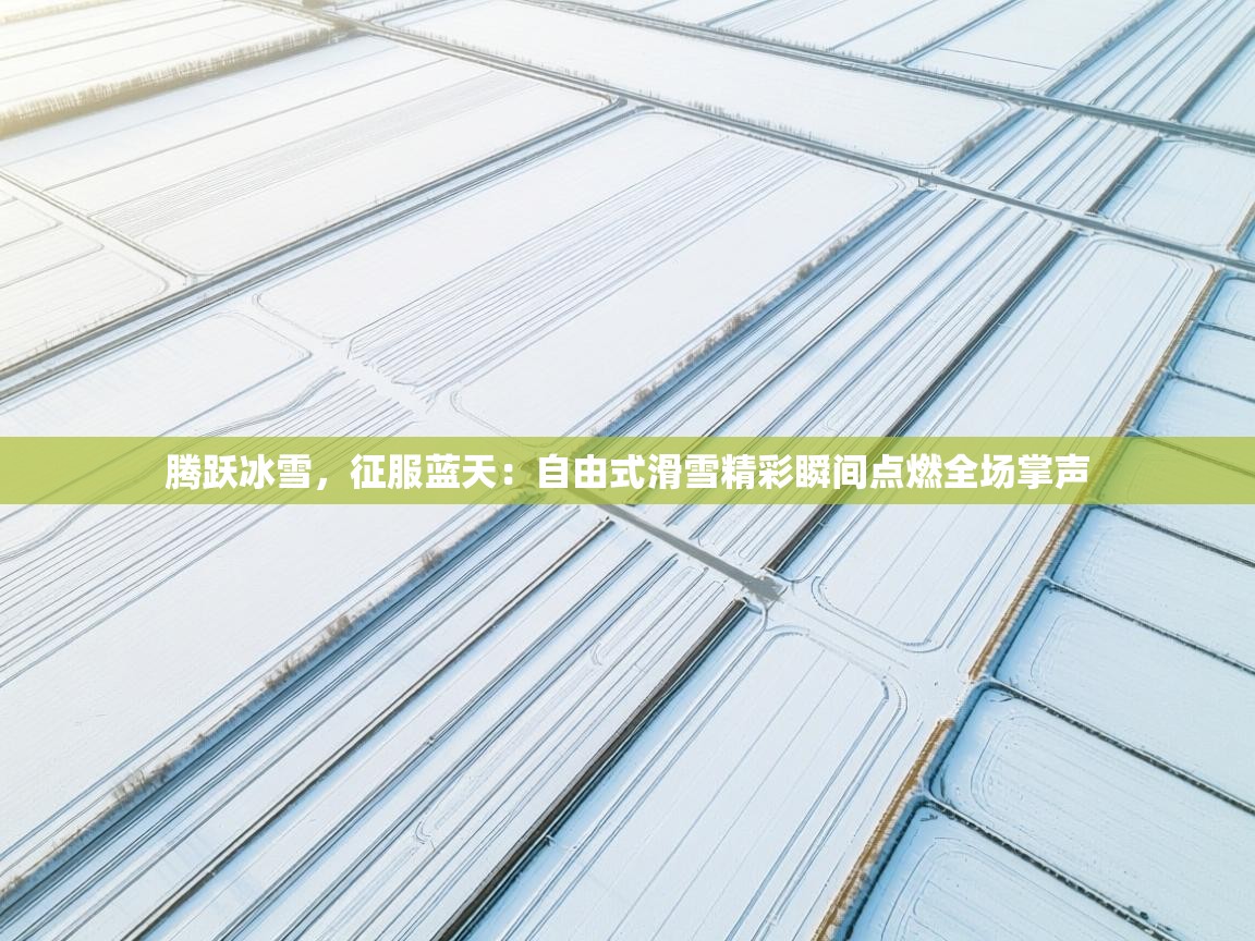 腾跃冰雪,征服蓝天:自由式滑雪精彩瞬间点燃全场掌声 第2张